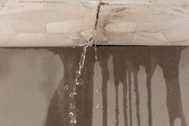 Professional Sewage Cleanup technician working in Bob White, WV